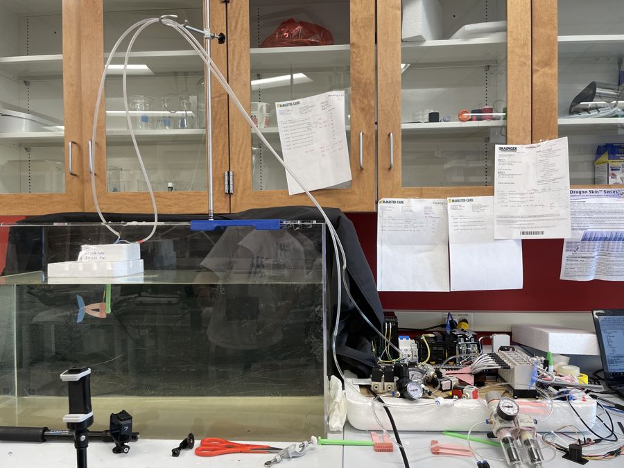 Pneumatic control bench and tank